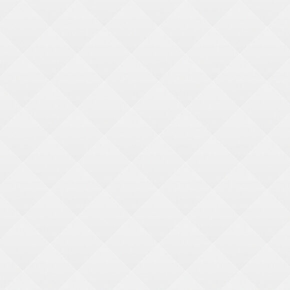 Pictures in Which the Magic Lives