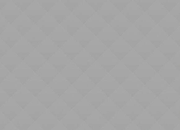 Art Installation “Strange Life”